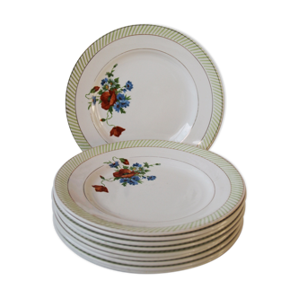 Lot de 10 assiettes plates Prairie de Salins France