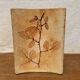 Ceramic Vase Vallauris Raymonde Leduc Herbarium Vintage