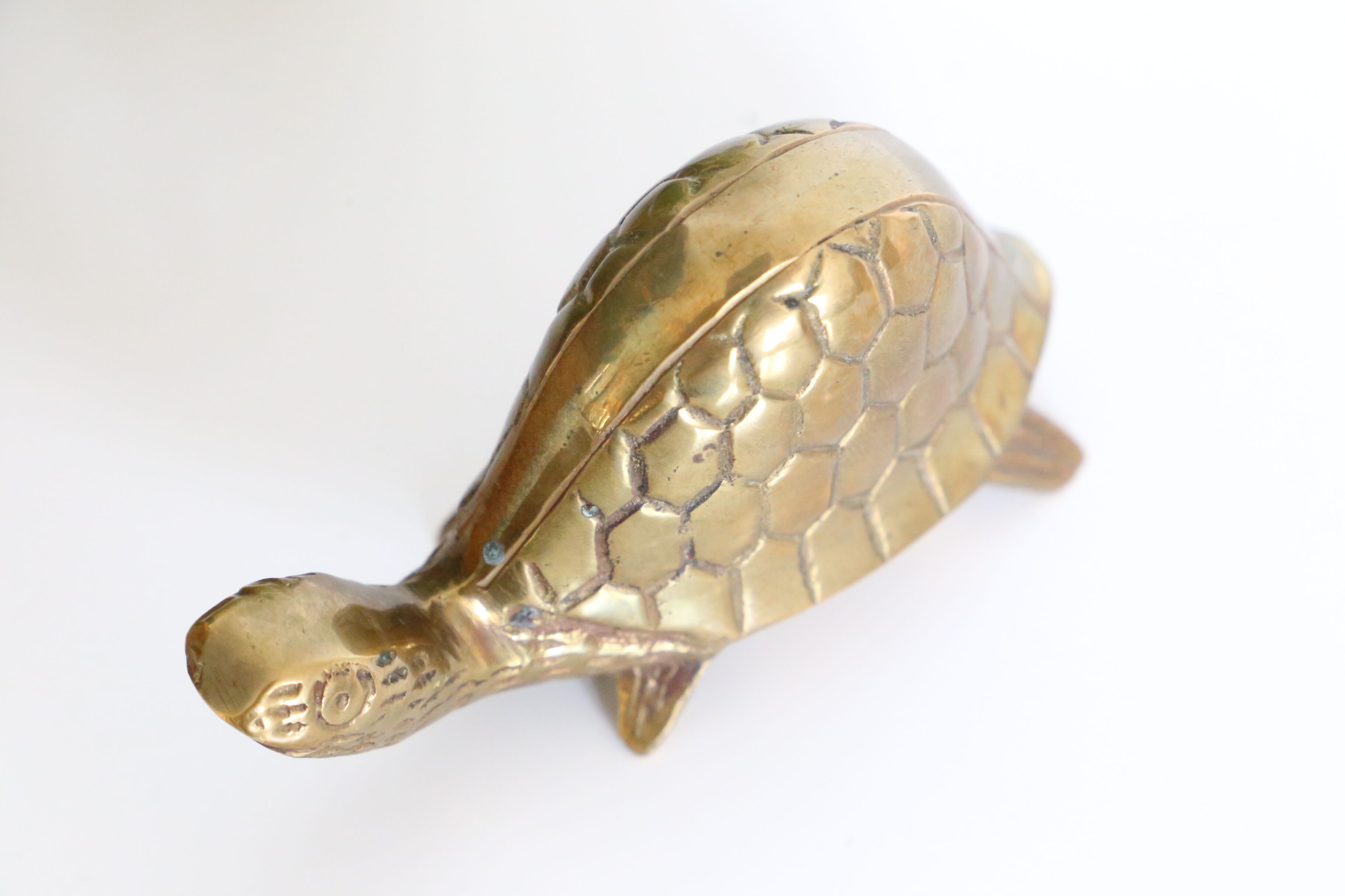 Brass turtle