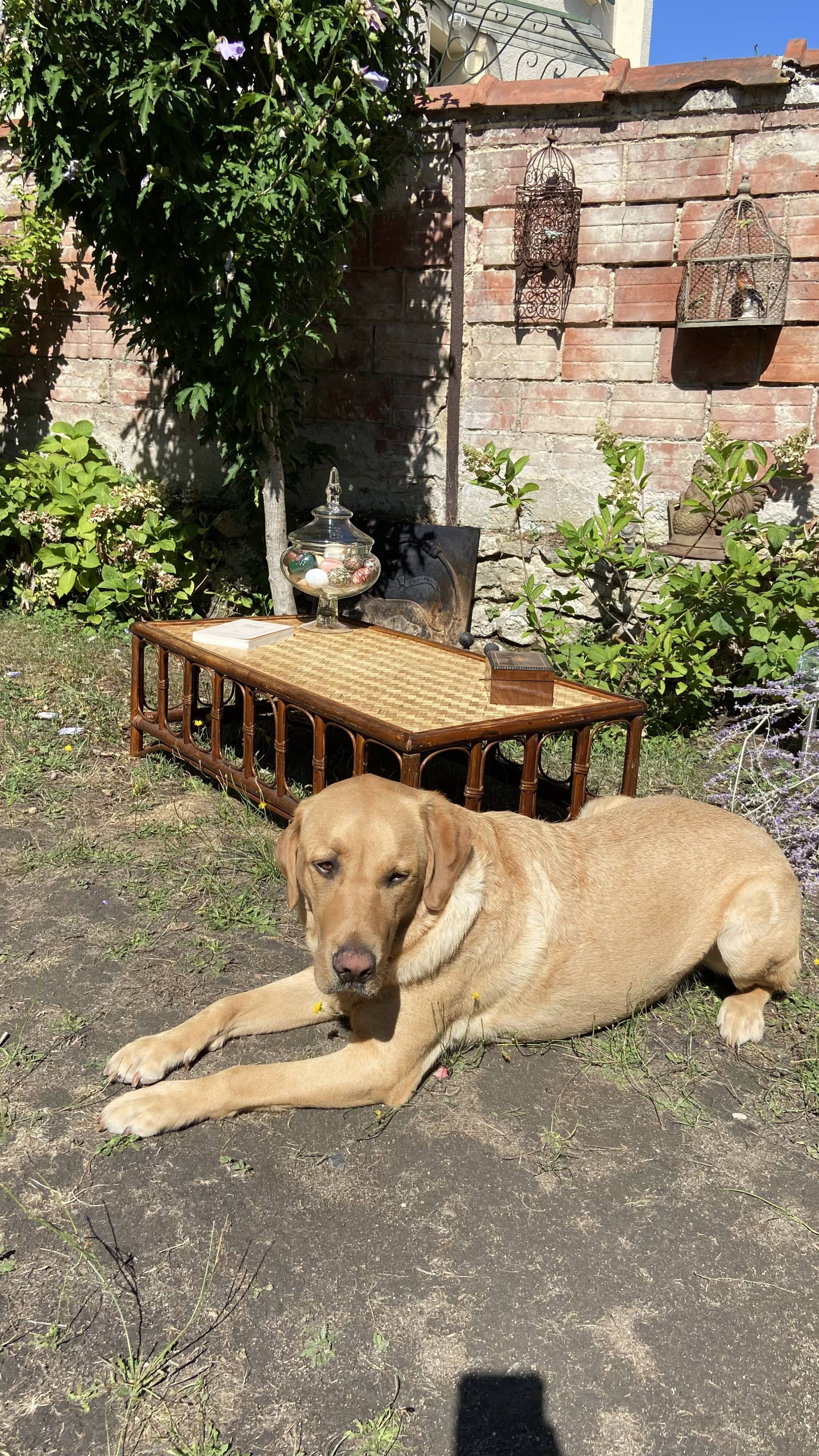 Vintage rattan coffee table