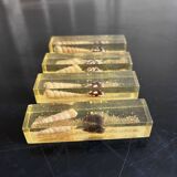 knife holder in resin and shells from the 70s