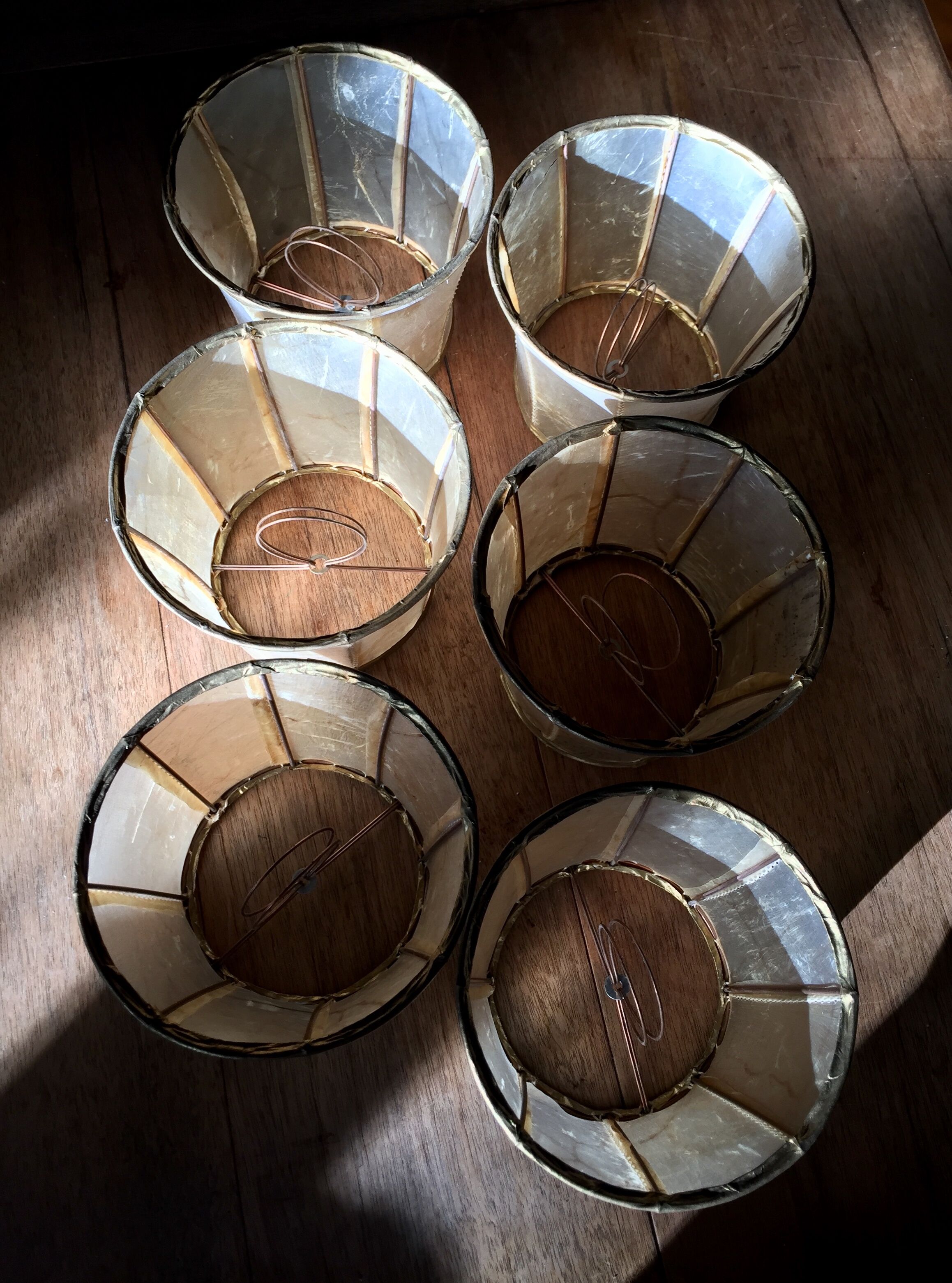 Vintage pork bladder lamps-day for dutch lustre