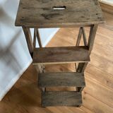 Nineteenth bookcase ladder
