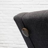 D70 Daybed Sofa by Osvaldo Borsani for Tecno 1950s