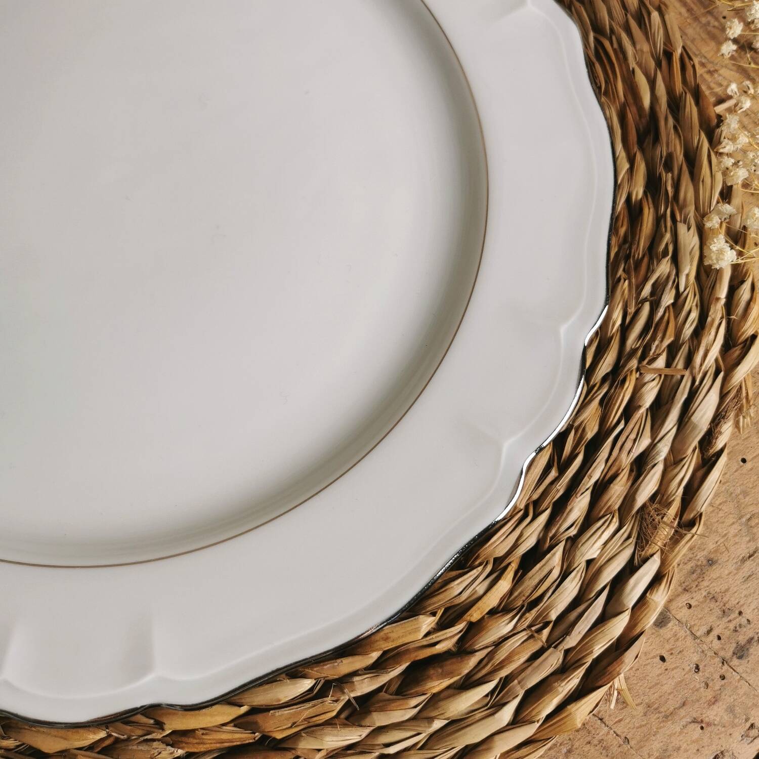 6 Limoges porcelain dinner plates