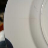 Mignon plates in Longwy earthenware