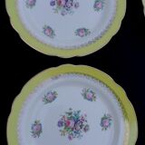 10 flat plates model graziella sarreguemines & digoin
