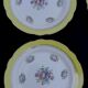 10 flat plates model graziella sarreguemines & digoin