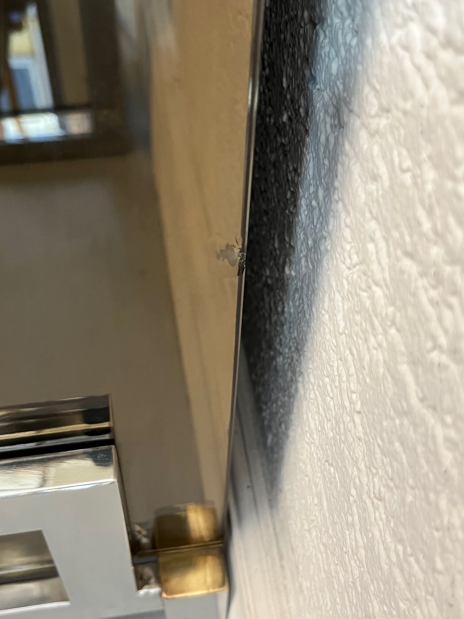 Michel Pigneres chest of drawers glass, brass and chrome around 1970