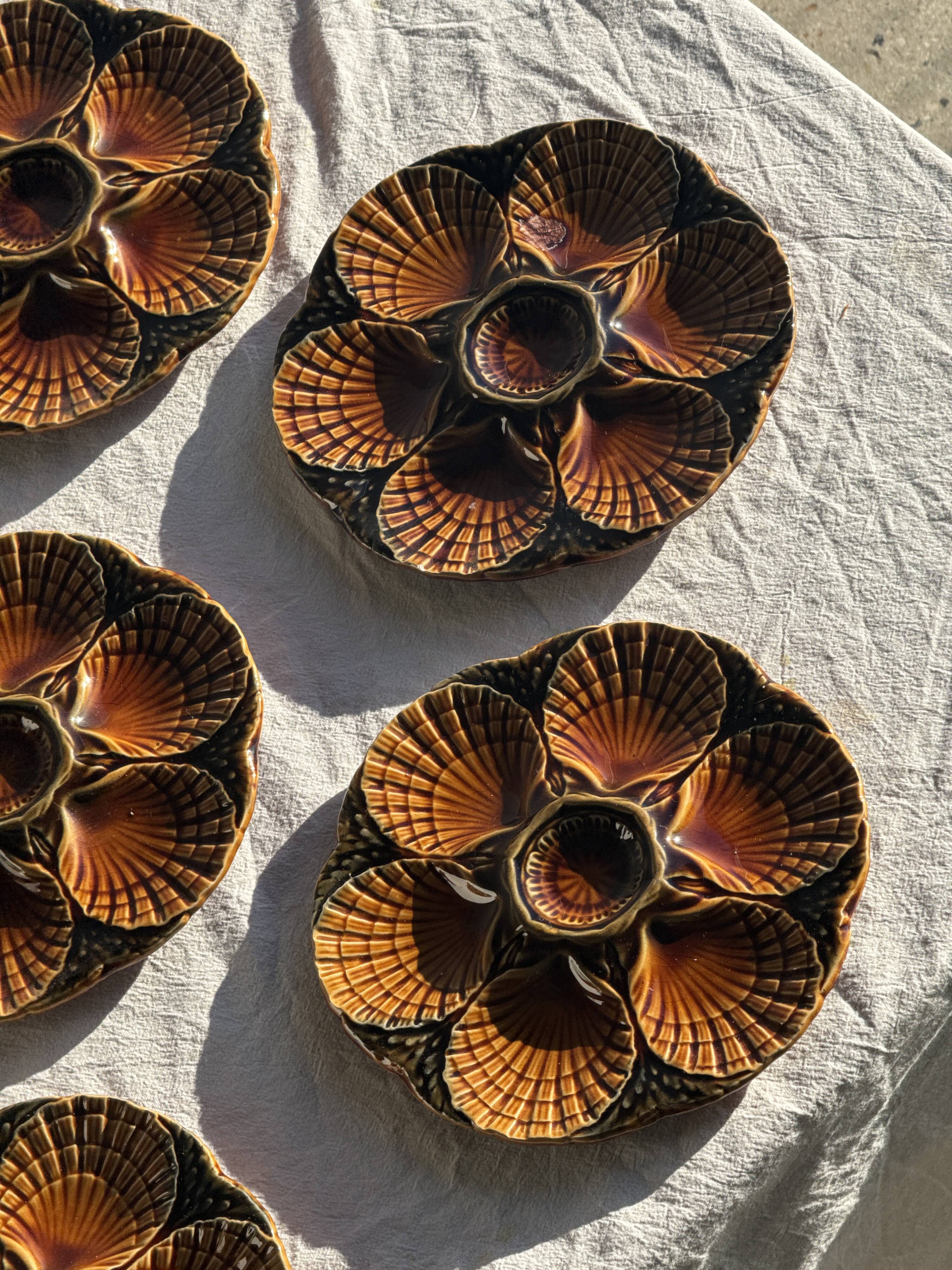 Set of 12 oyster or shell plates in glazed brown ceramic D