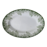 flat oval iron ground PLANE TREE