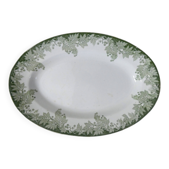 flat oval iron ground PLANE TREE