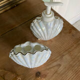 Soap dispenser and shell toothbrush storage