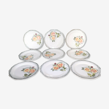 Set de 9 assiettes Digoin modèle Odile plates