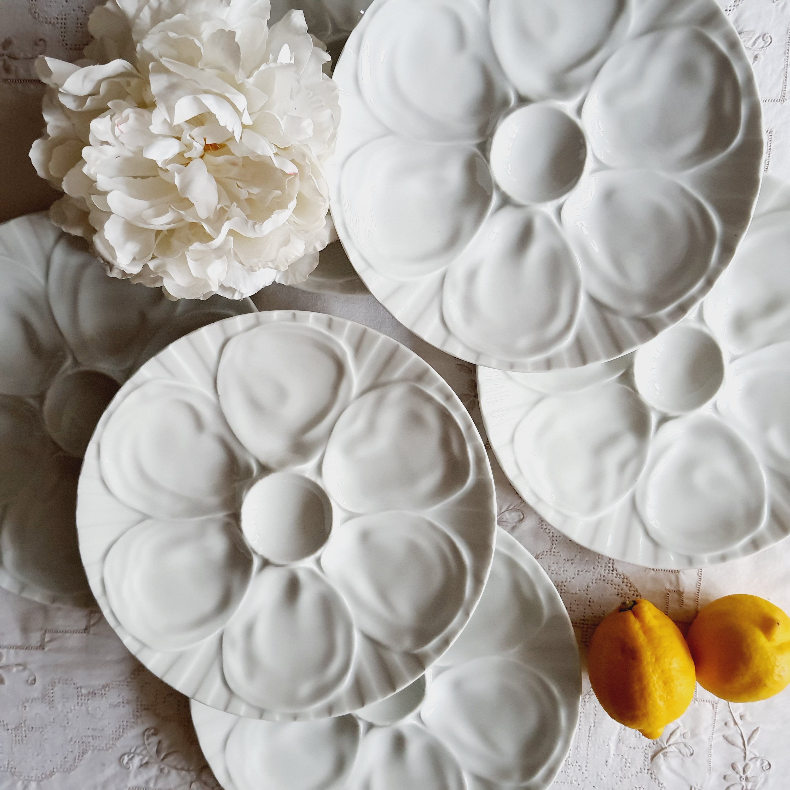 Set of 9 oyster porcelain plates