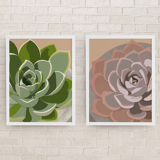 Duo of illustrations "Succulent" by Noums Atelier