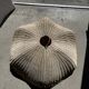 Large suspension or lampshade in flat woven tulip flower rattan H35 D
