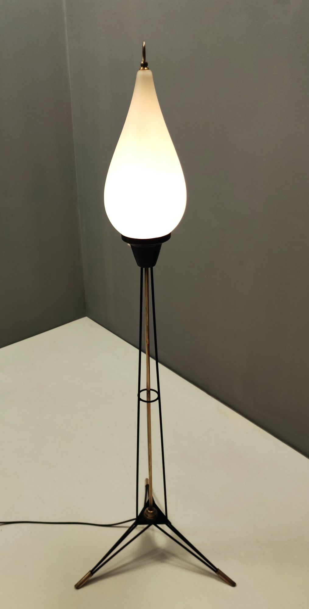 Midcentury Opaline Glass and Iron Floor Lamp by Stilnovo, Italy