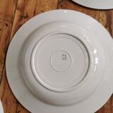 Blue Badonviller retro hollow plates