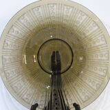 Dish