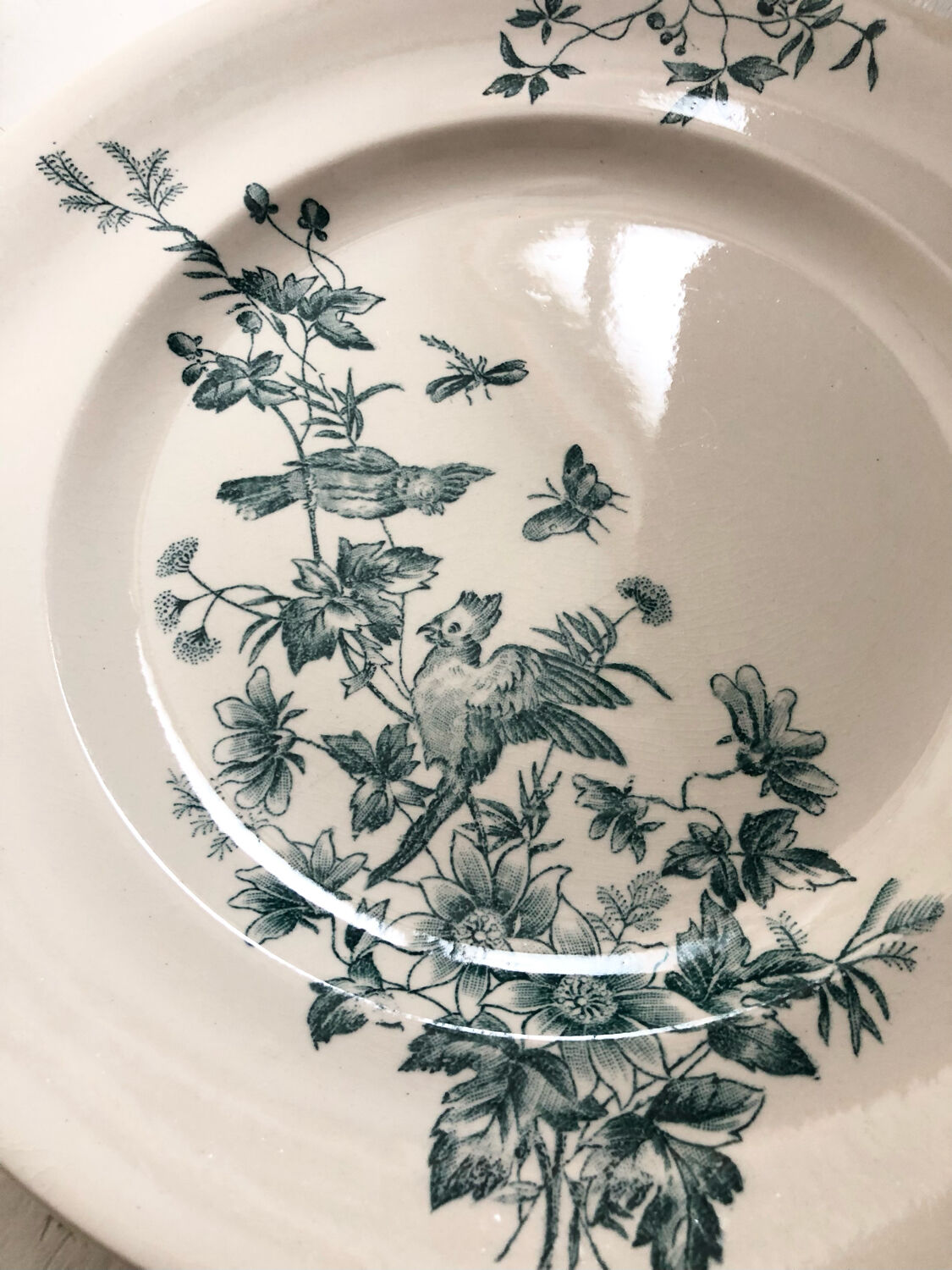 6 assiettes terre de fer oiseaux Longwy « mignon »