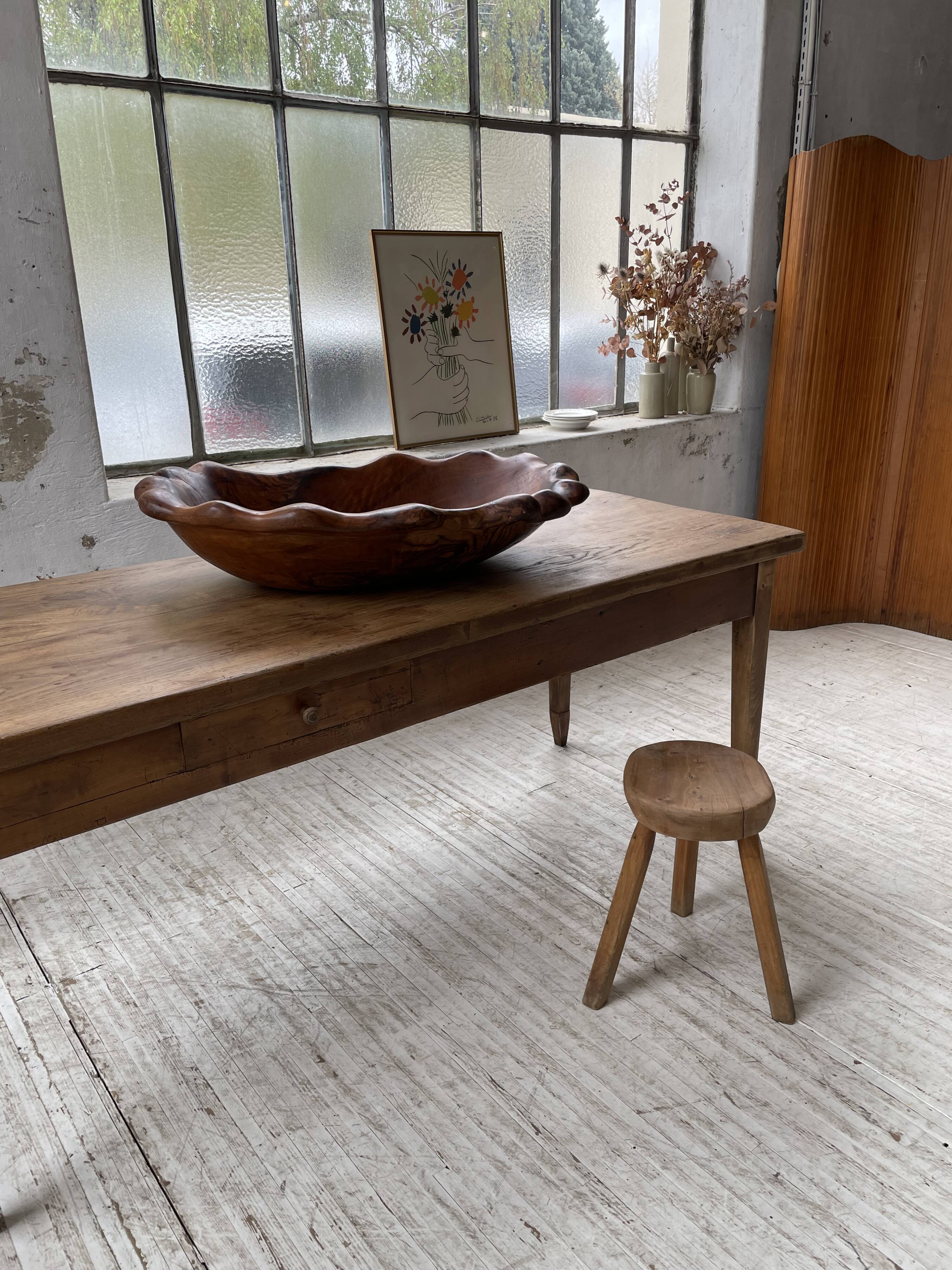 XL thuja root wooden dish