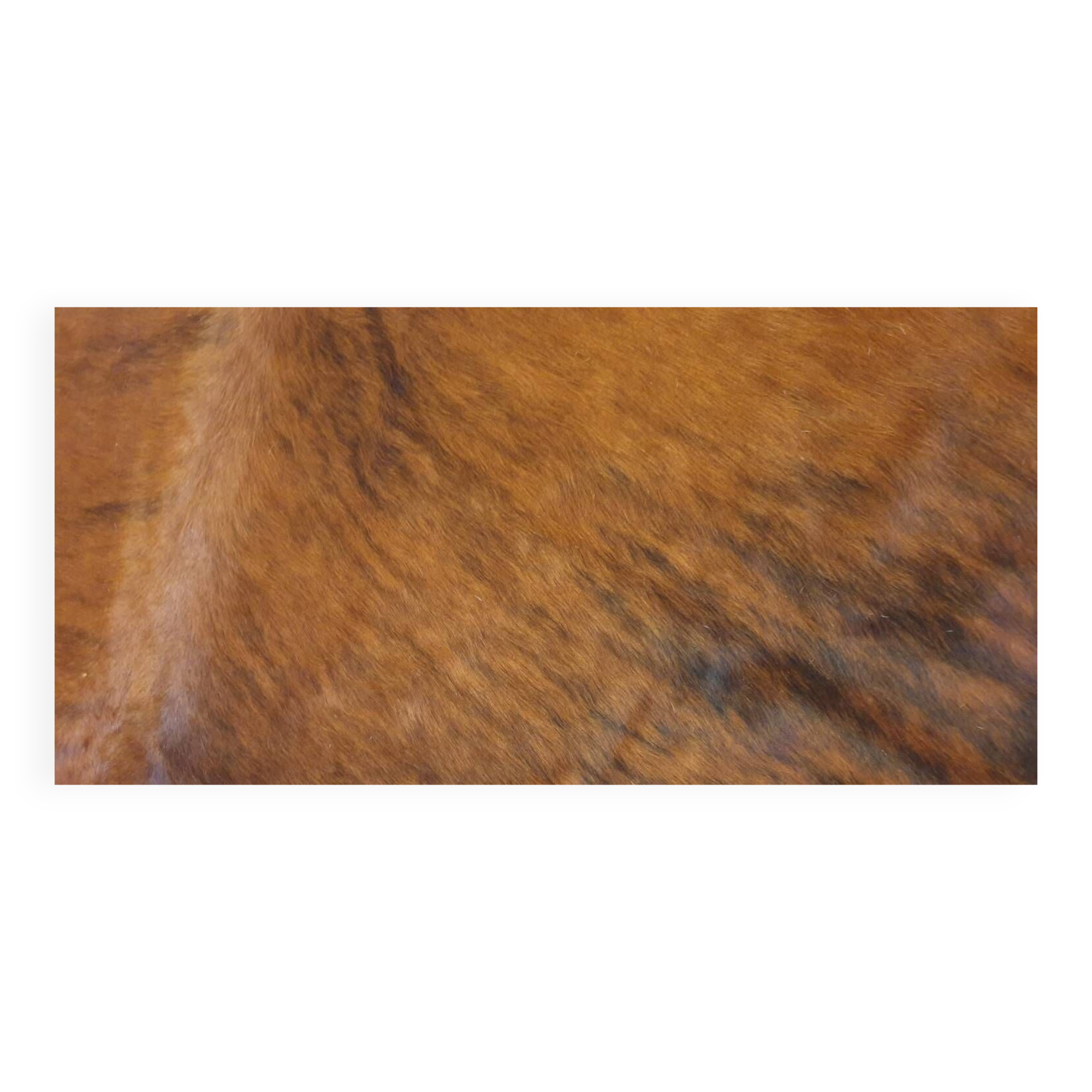 Cowhide 230/217