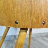 Pair of Dining Chairs by Antonin Suman, 1960s