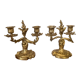 Paire de chandeliers en bronze 19ème