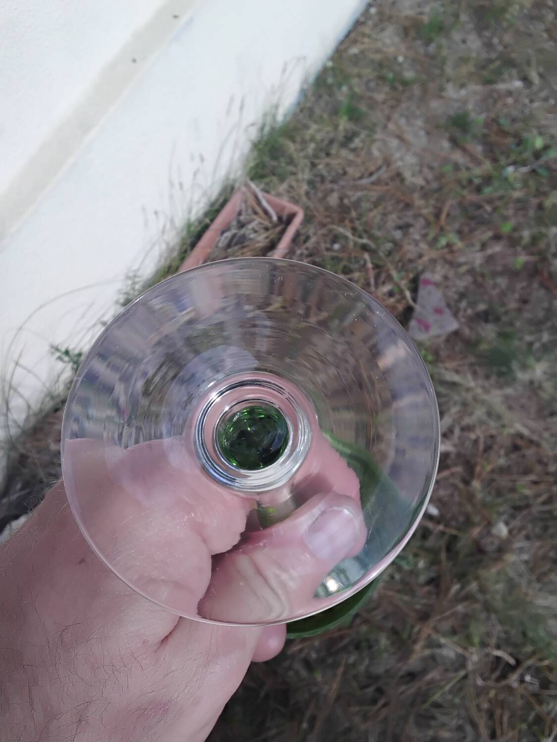 14cl Nancy Houillon crystal wine glass with green floral border