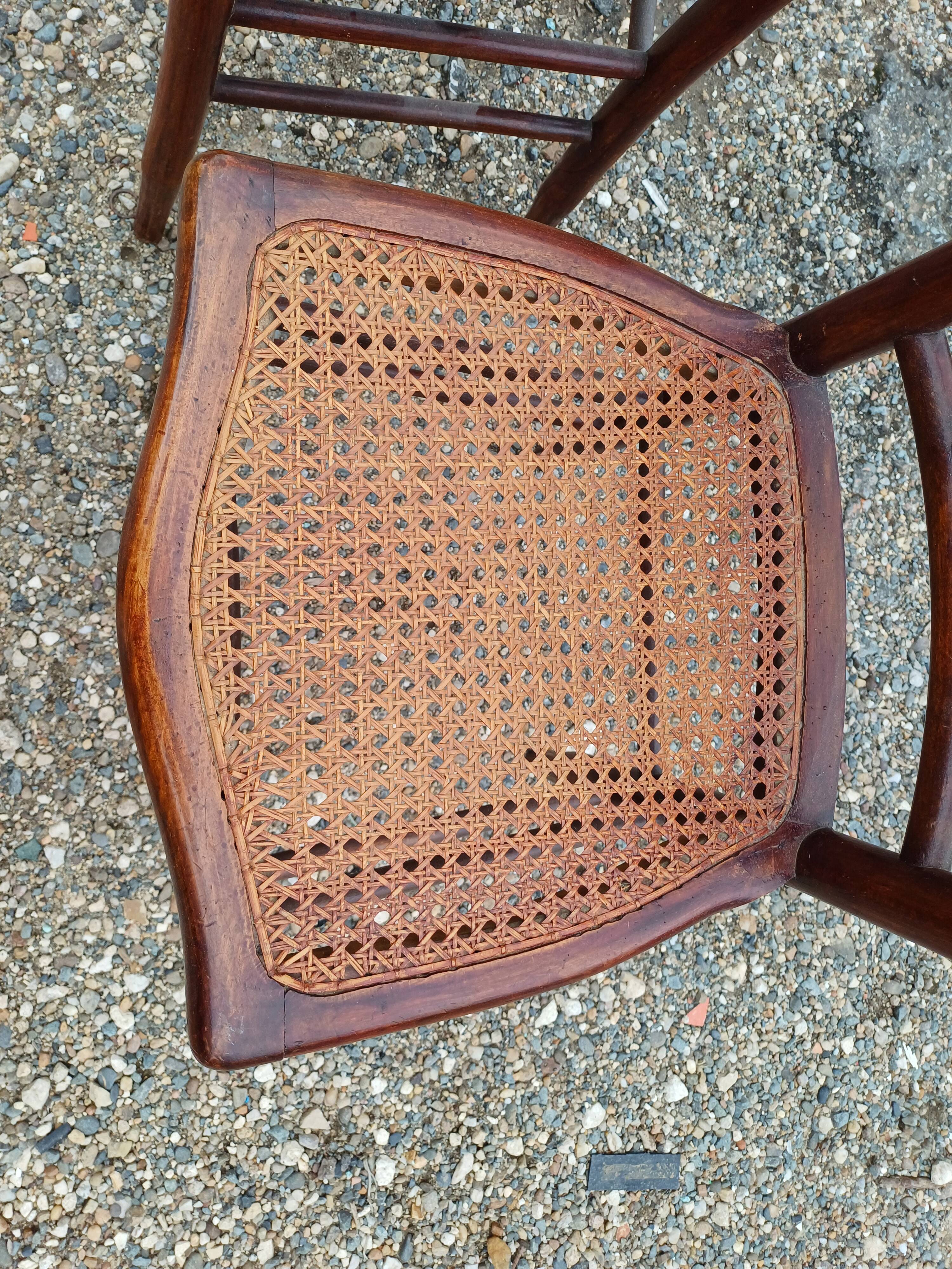 Pair of Thonet Bistro Chairs in Wood and Cane