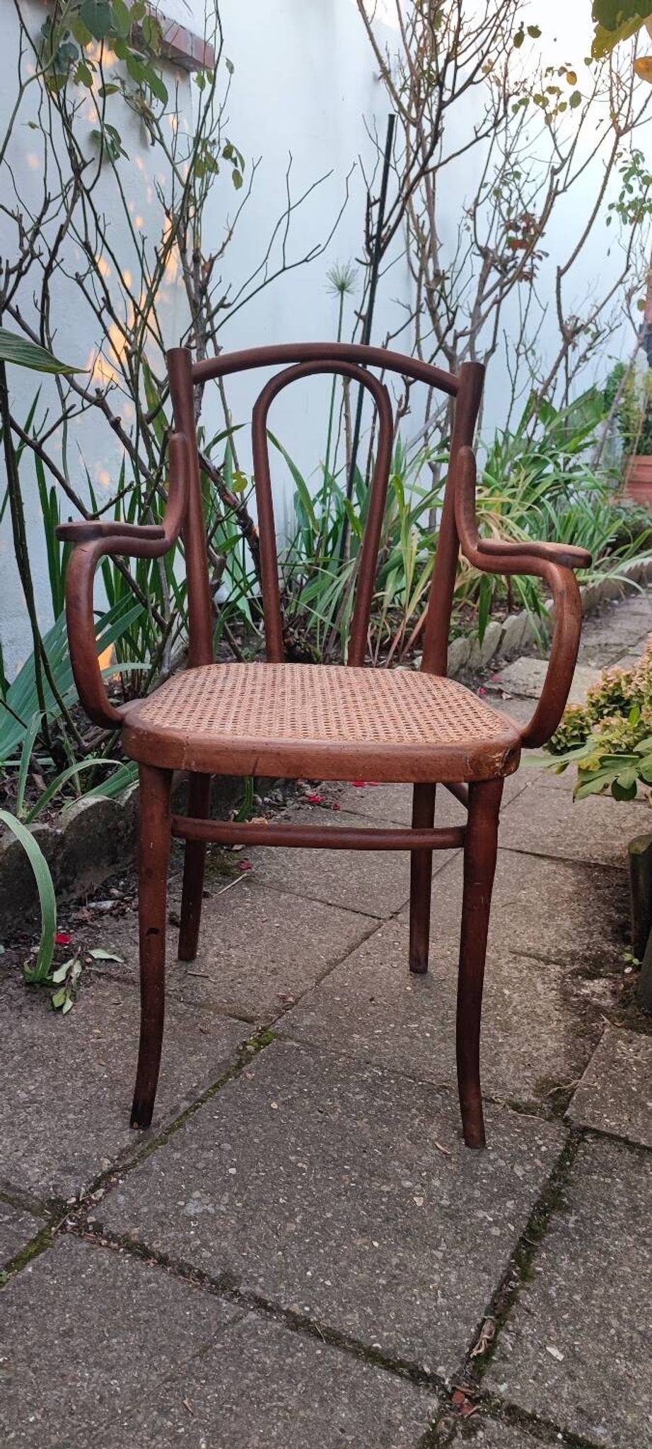 Thonet armchair no. 56