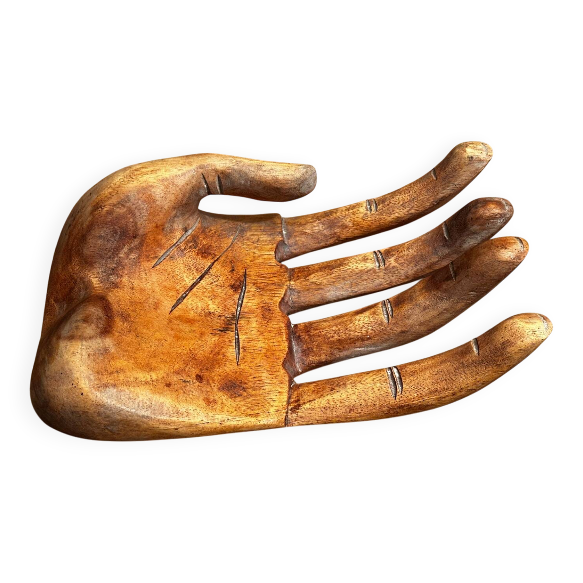 Large Carved Wooden Hand - 1950s