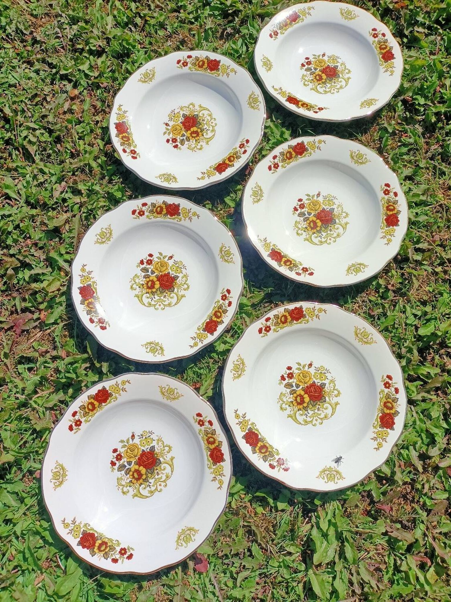 Assiettes creuses x6 Digoin Sarreguemines 💐