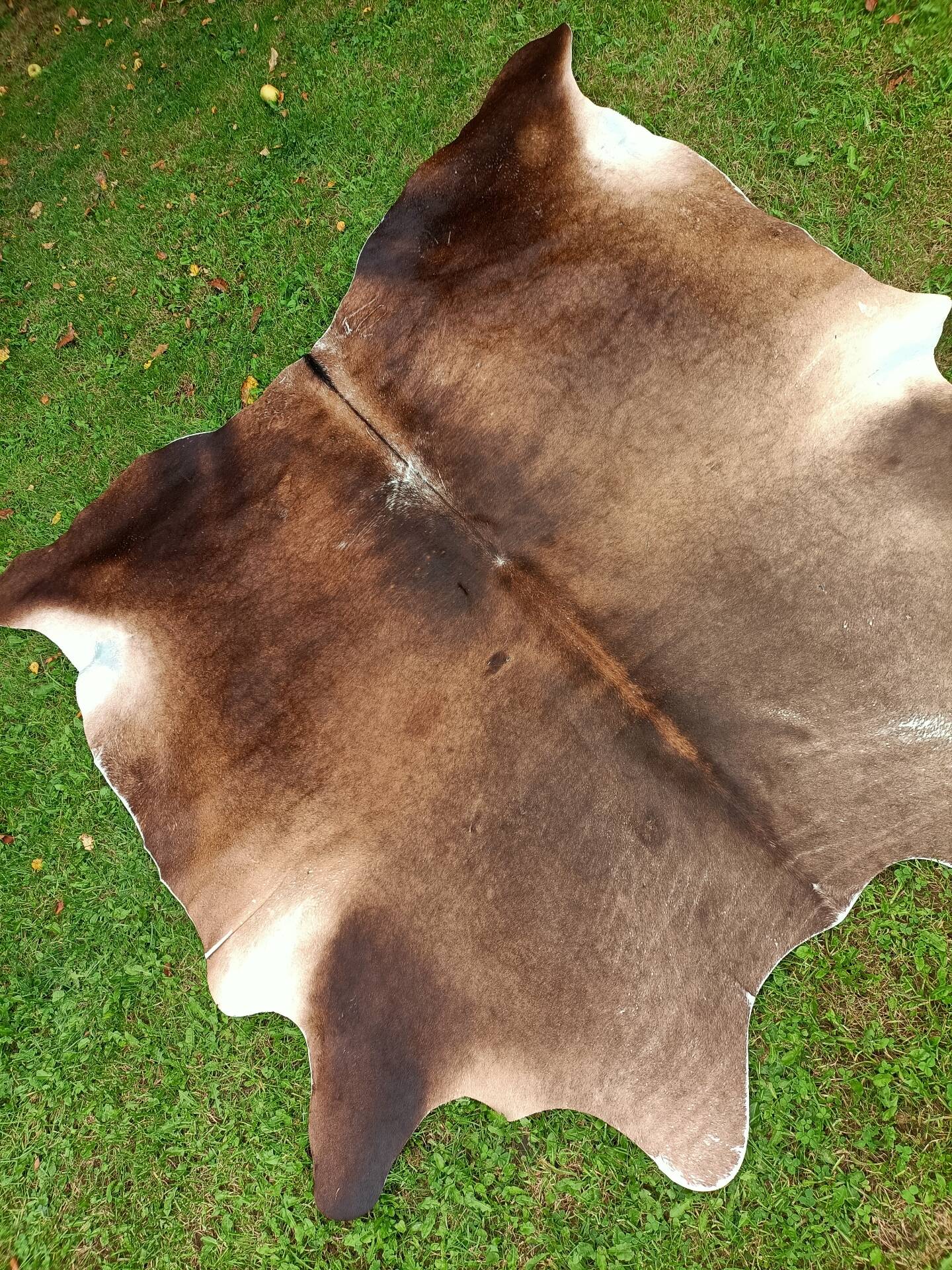 Cowhide Rug