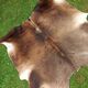 Cowhide Rug