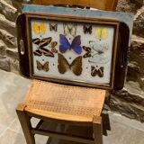 Butterfly tray stuffed under glass