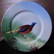 3 decorative porcelain plates from Limoges featuring partridges and pheasants.