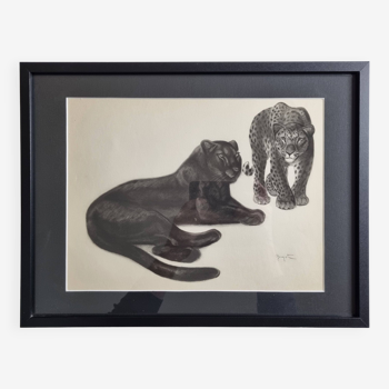 Print after Georges Guyot, "Black Panther and Spotted Panther", 1937, framed, 41 x 32 cm