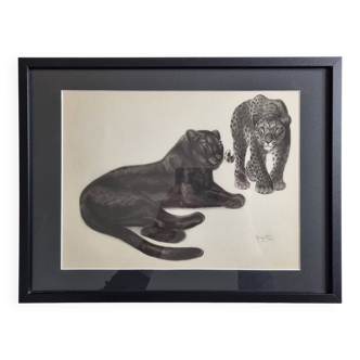 Print after Georges Guyot, "Black Panther and Spotted Panther", 1937, framed, 41 x 32 cm