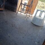 Louis Philippe mirror in gilded wood, 19th century - 88 cm