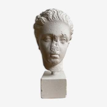 Artemis plaster head