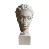 Artemis plaster head