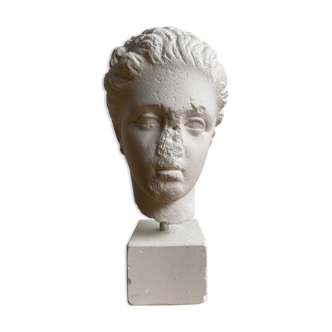 Artemis plaster head