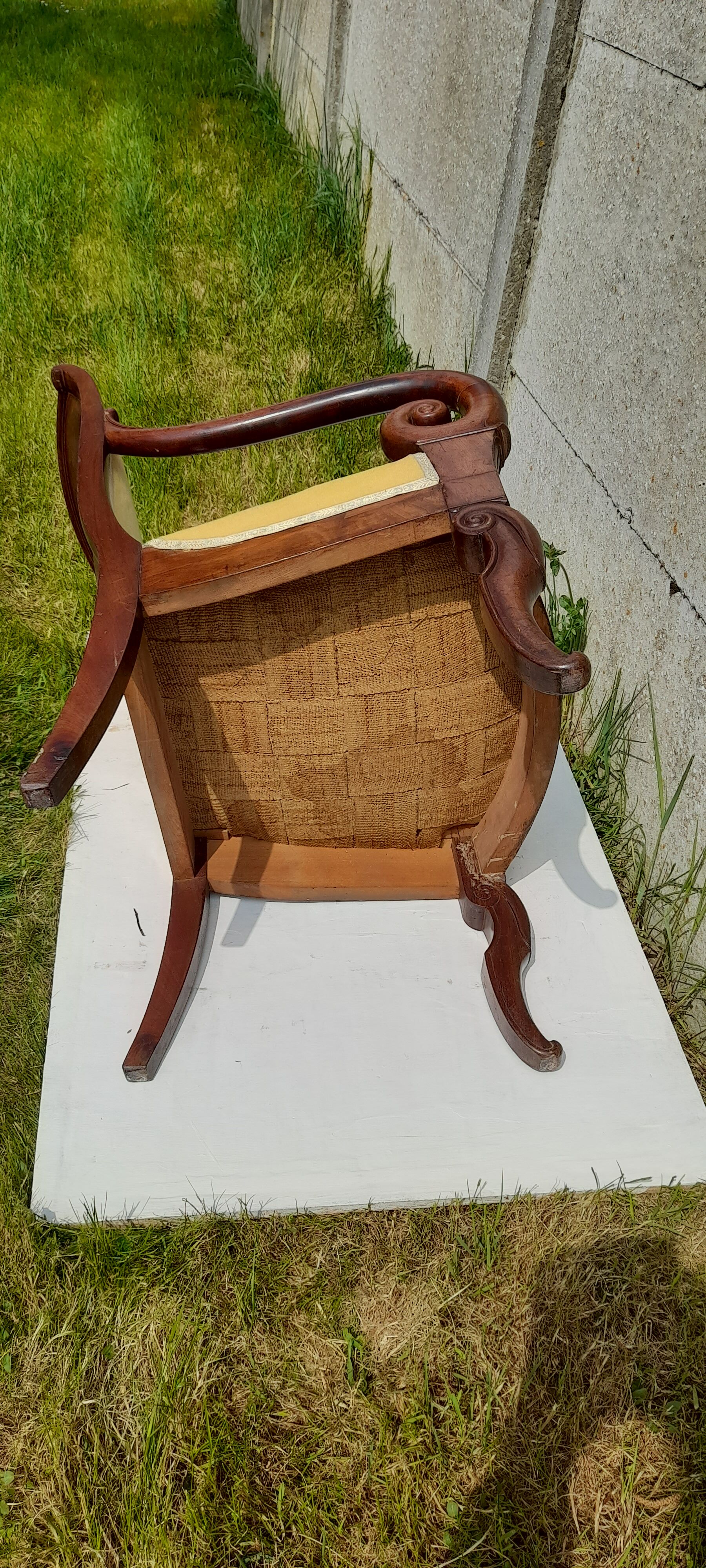Mahogany butt armchair and mahogany veneer XIX th