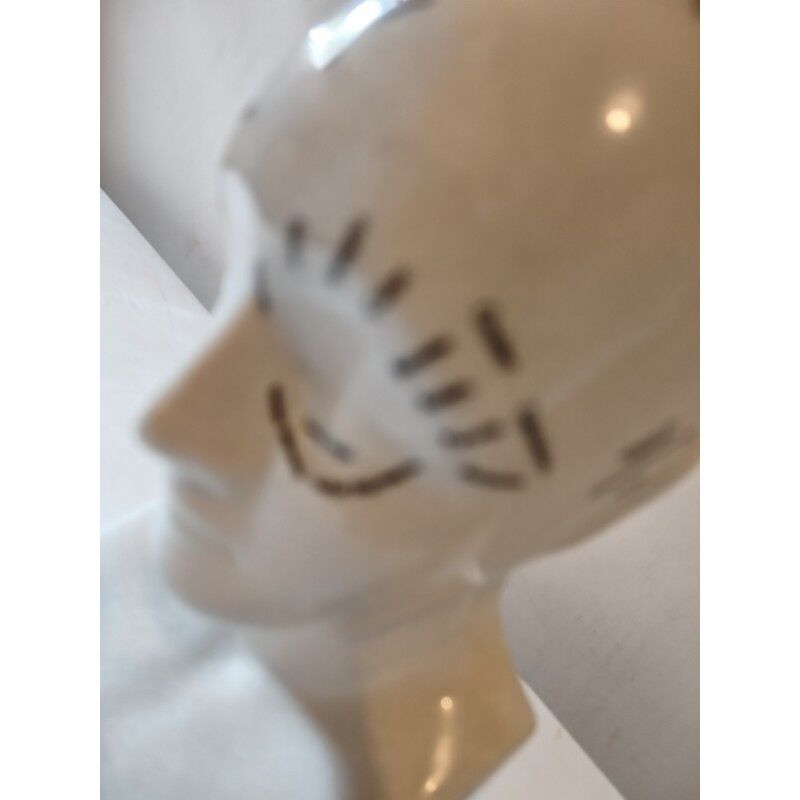 Cracked earthenware phrenology bust by Fowler