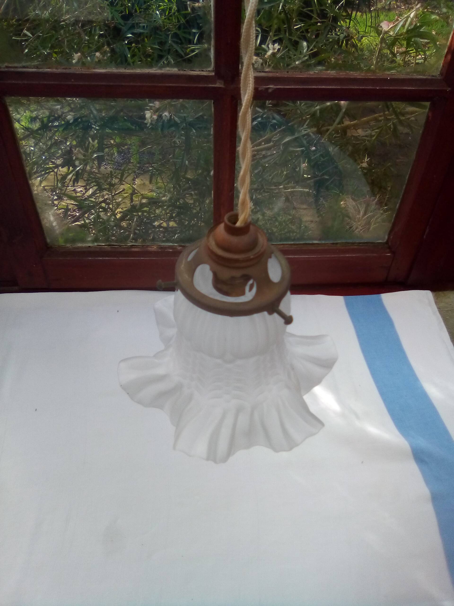 Glass tulip pendant light