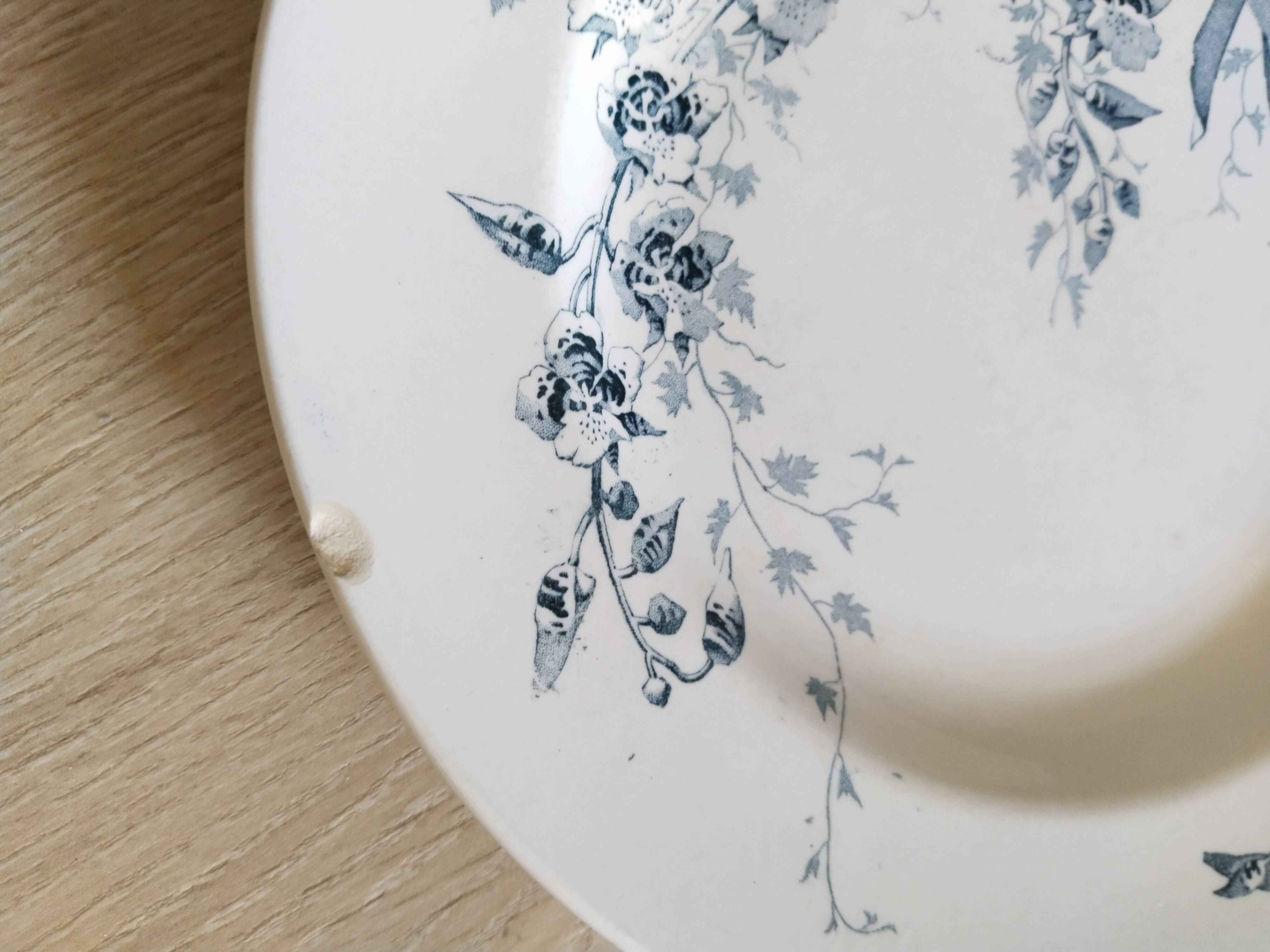 Set of 6 dinner plates in Terre de fer earthenware, blue color