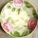 6 plates in slip decoration of roses earthenware of Onnaing