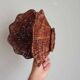 Vintage wicker shell basket, French bohemian decoration.
